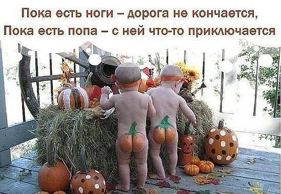 Пока есть ноги дорога не кончается Пока есть попа с ней что то прикдючается