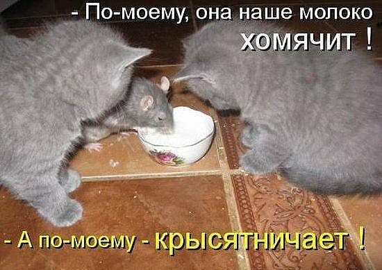_ Помоему онанаше молоко _ ч здмоаму ШЫЬГСЯГН21Ъ1
