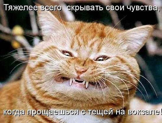 затаив