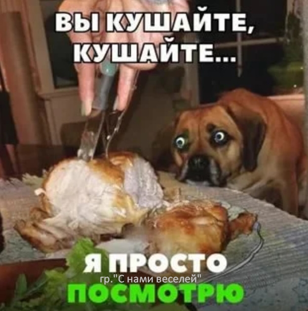 ЁЁ Ё У щдйтв дщшдйтв 4 яМо _ грниелйСамвсее
