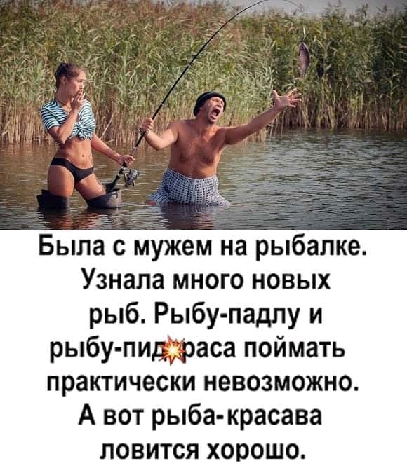 Была с мужем на рыбалке Узнала много новых рыб Рыбу падпу и рыбу пиффаса поймать практически НЕВОЗМОЖНО А вот рыба красава ловится хорошо