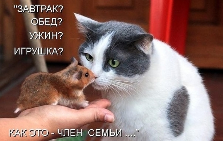 З 1 _ РАК БЕД