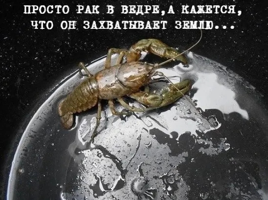 просто их в ввдпд видится что он зщдтнвквт зшв _
