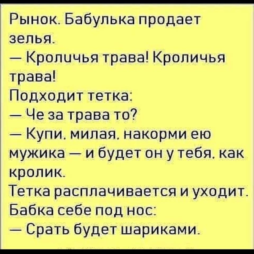_ РынокБабулькапродает зелья КроличьятраваКроличья трава Подходиттетка Чезатравато Купимилаянакормиек мужика и будет он у тебя как кролик Теткарасплачиваетсяьауходит Бабкасебеподнос СратьбудеТ1цариками