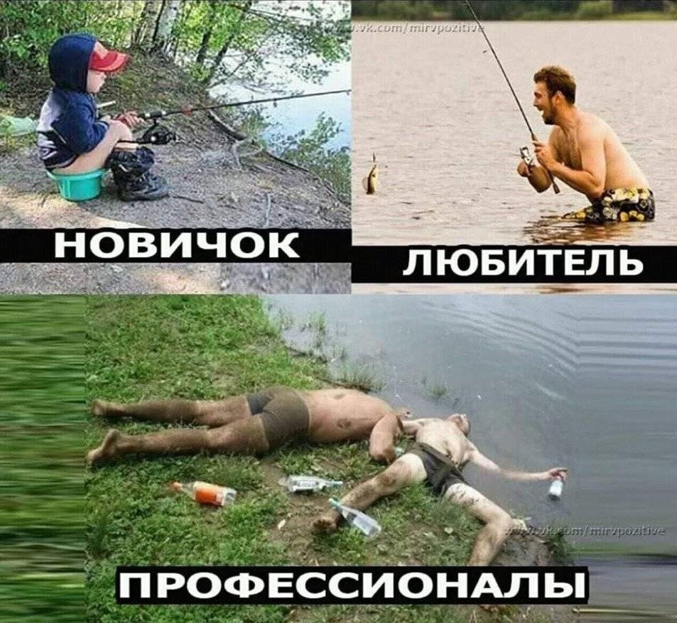 дик _ ПРОФЕССИОНАЛ ы д __