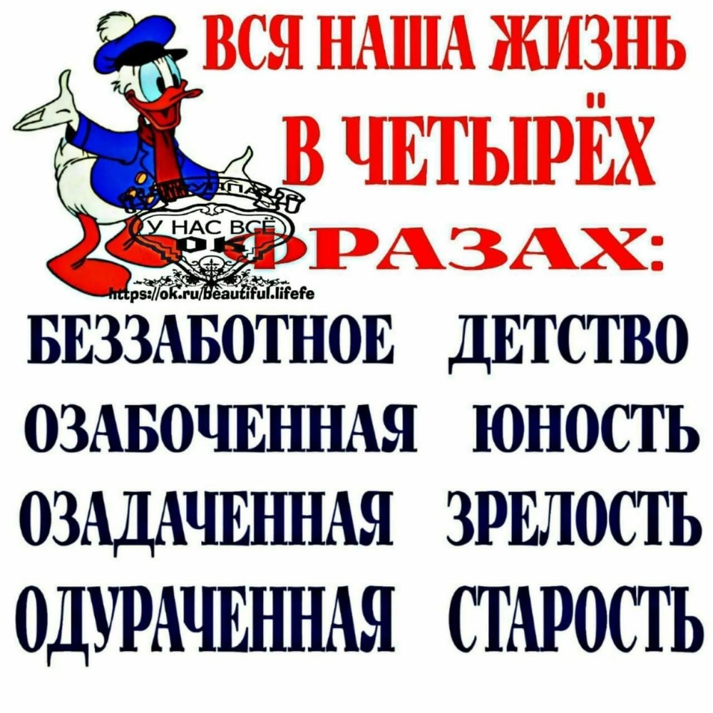 ОЗАБОЧЕННАЯ ЮНОСТ Ь ОЗАЦАЧЕННАЯ ЗРЕЛОСТЬ ОДУРАЧЕННАЯ СТАРОСТЬ