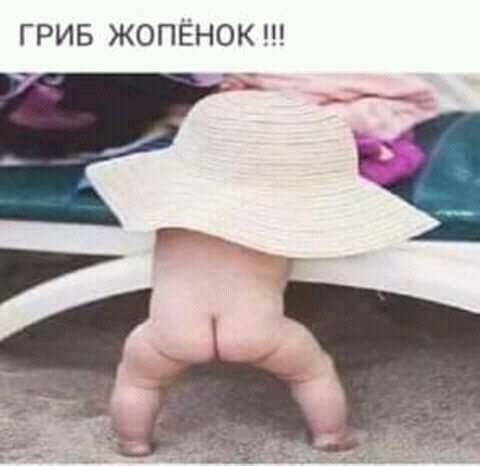 грив жопёнок
