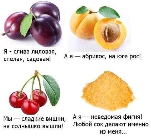 Мэ Я слива липовая спелая садовая А я абрикос на юге рос Мы _ сладкие вишни А я уневедомая фигня на солнышко вышли ЛЮ5И С делают именно из меня