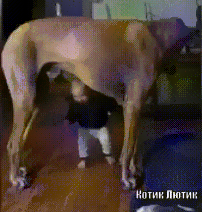 ШПИК ПЮТИИ
