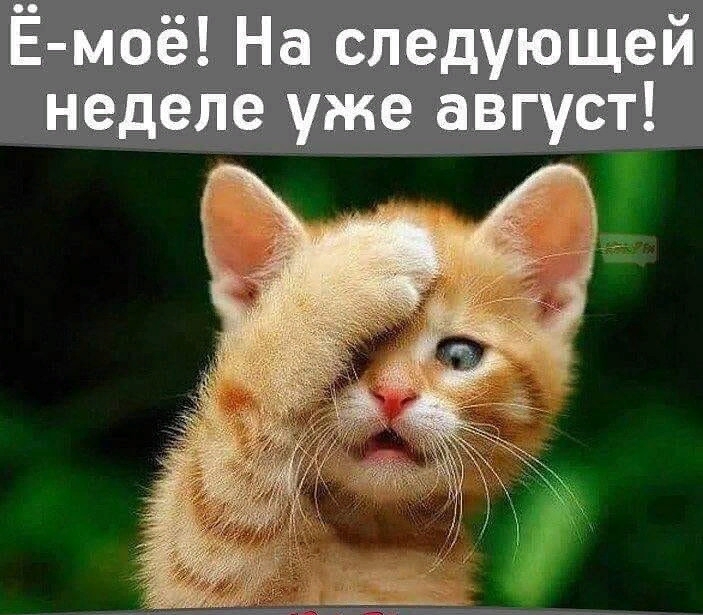 Ё моё На следующей неделе уже август