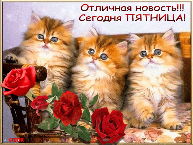 ОТЛИЧНЦЯ НОВОСТЬ У сегодня і Ы НИЦі 1