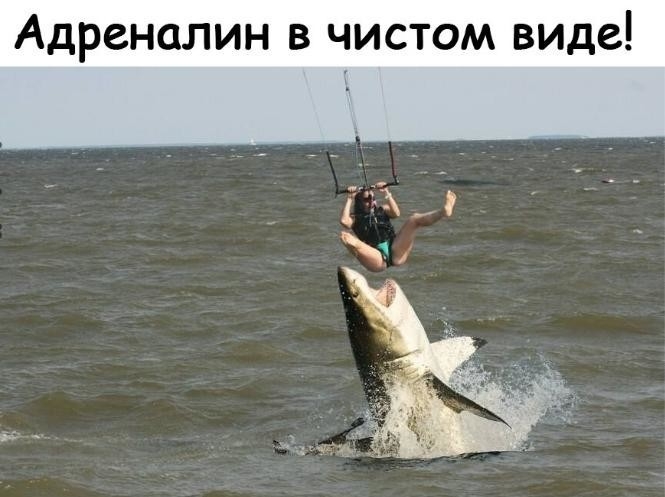 Адреналин в чистом виде