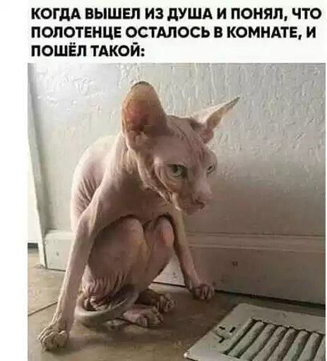 КОГДА ВЫШЕ ИЗ дУША И ПОНЯЛ ЧТО ПОПЧТЕНЦЕ О_СТАЛОСЬ В КОМНАТЕ И ПОШЁП ТАКОИ
