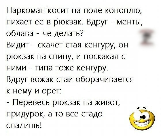 Наркоман косит на поле коноплю пихает ее в рюкзак Вдруг _ менты облава _ че делать Видит _ скачет стая кенгуру он рюкзак на спину и поскакал с ними _ типа токе кенгуру Вдруг вожак стаи оборачивается к нему и орет _ Перевесь рюкзак на живот придурок а то все стадо спалишь
