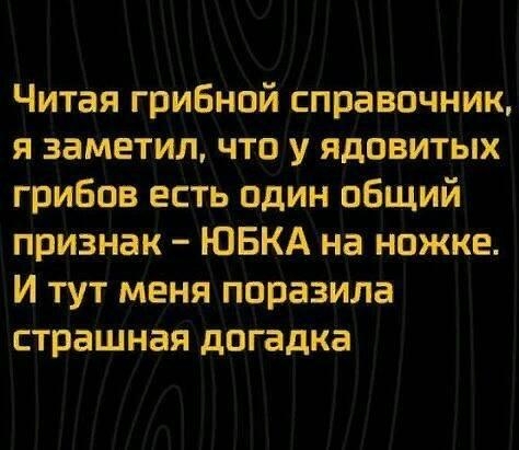 Читая грибной справочник я заметил что у ядовитых грибов есть один общий признак ЮБКА на ножке И тут меня поразила страшная догадка