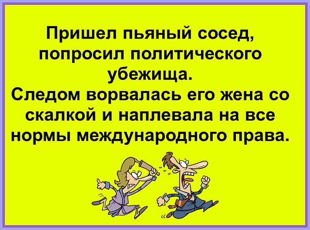Пришел пьяный сосед попросил политического убежища Следом ворвалась его жена со скалкой И НЗППВВЗЛЗ на все НОРМЫ ММУНЗРОДНОГО права