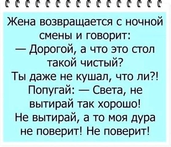 ФФФФФФФФФФФФЮФЮ Жена возвращается с ночной смены и говорит Дорогой а что это стоп такой чисгый Ты даже не кушал что ли Попугай Света не вытирай так хорошо Не вытирай а то моя дура не поверит Не поверит