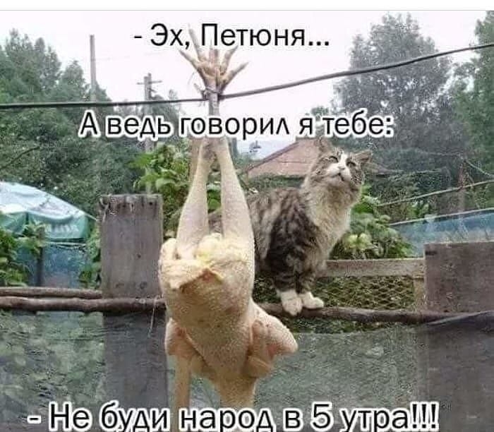 ЭхПетюня _ 75 4 ждт