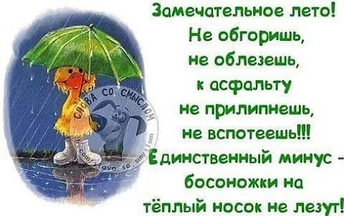 Замечательное лето Не обгоришь не обледешь асфальту не прилипнвшь _ не вспотеешь Едииствеииый минус босоножки на тёплый носок не лезут