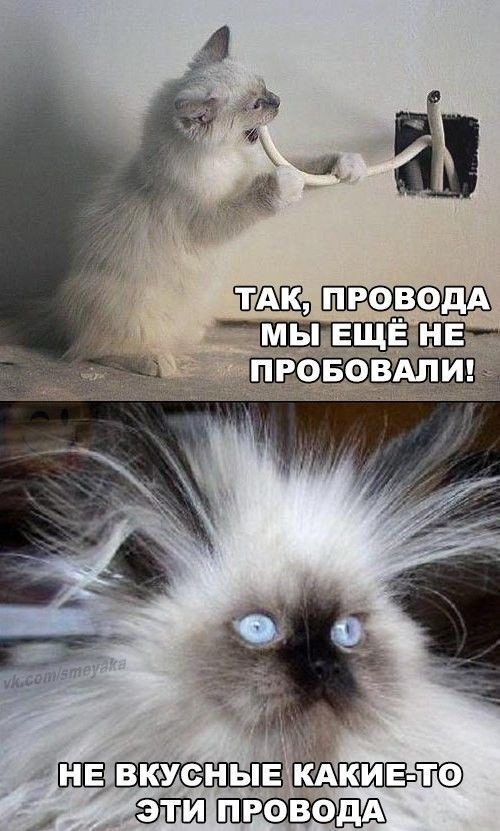ЩЗЁ