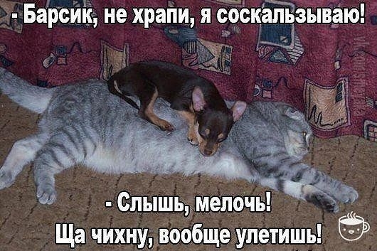 БаЬсИЁ не храпи я ЖЁЛЪЪШЭЮ Спышъъміеіючы щаХНУЗообщеупетишь