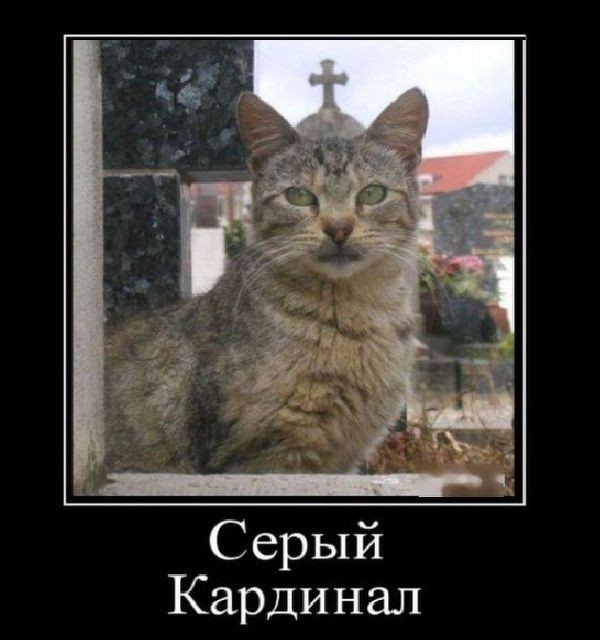 С ерый Кардинал
