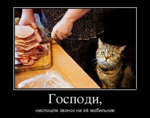 Господи ниспошпи звонок на ее мобильник