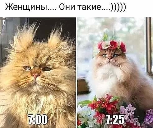Женщины Они такие