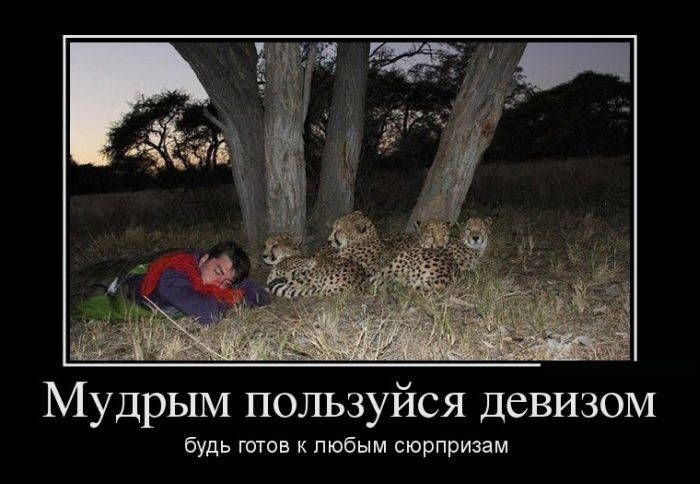 Мудрым пользуйся девизом будь готов к любым сюрпризам