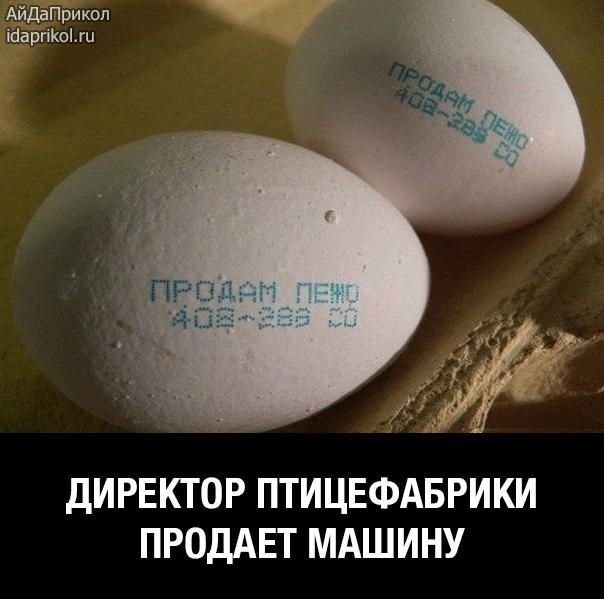 АйдаПрикоп ісіаргіКоі гц ДИРЕКТОР ПТИЦЕФАБРИКИ ПРОДАЕТ МАШИНУ