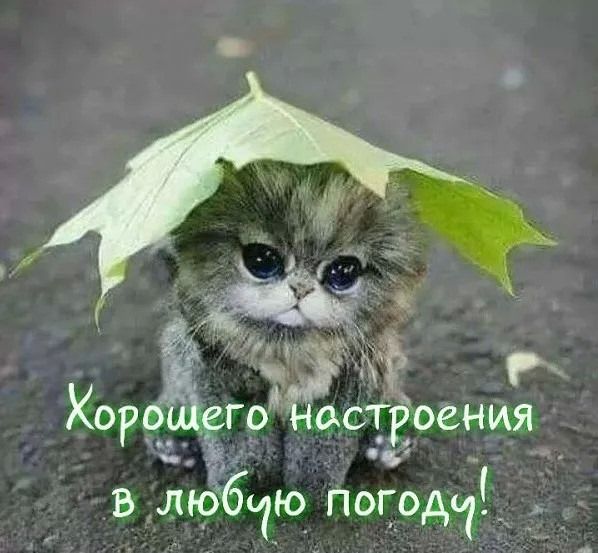 _ гр встроения Кога в люб1_ю_ погоди