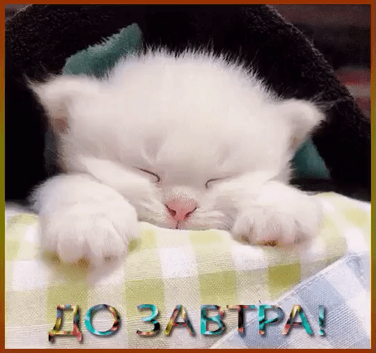 до ЗАВТРА