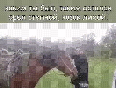 каким ты был таким остался орел степной казак лихой