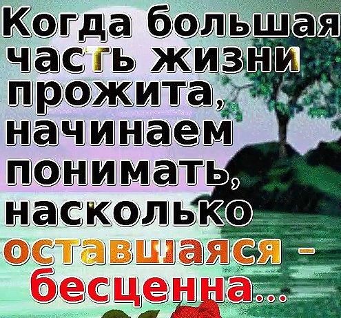 Каща ча к аражштадд ааашнааш шаащщ ть
