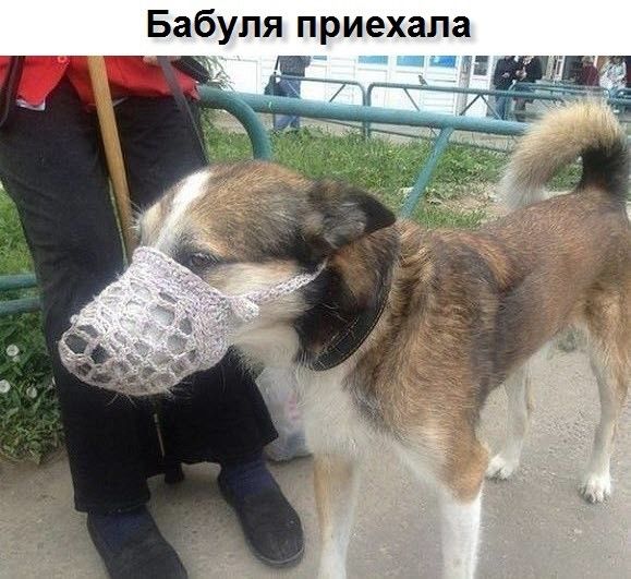 Бабуля приехала