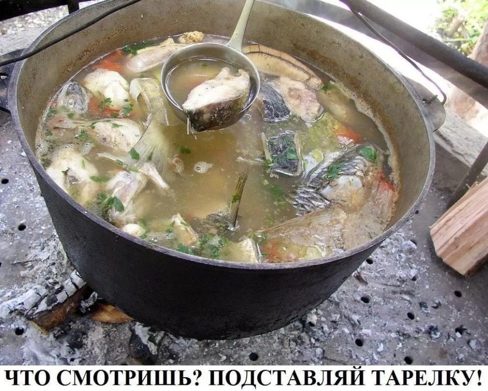 и о СМОТРИШЬ ПОДСТАВЛЯИ ТАРЕЛКУ