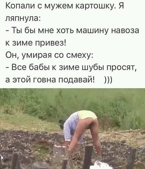 Копали с мужем карто у Я пяпнупа Ты бы мне хоть машину навоза к зиме привез Он умирая со смеху Все бабы к зиме шубы просят а этой говна подавай