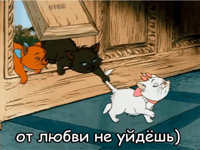 0 любви не уйдёшь
