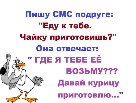 Пишу СМС подруге Еду к тебе Чайку приготовишь Она отвечает гдЕ я ТЕБЕ ЕЁ ВОЗЬМУ давай курицу приготовлю