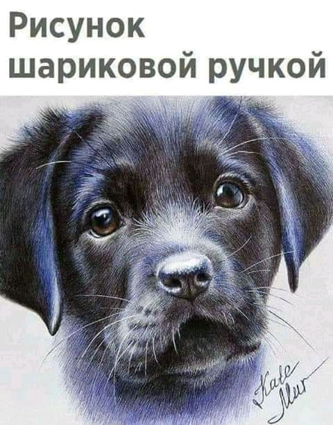 Рисунок шариковой ручкой