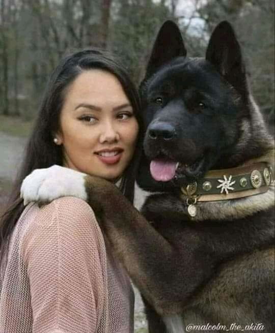амилоидмдмш