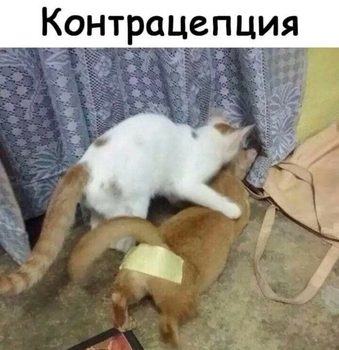Контрацепция