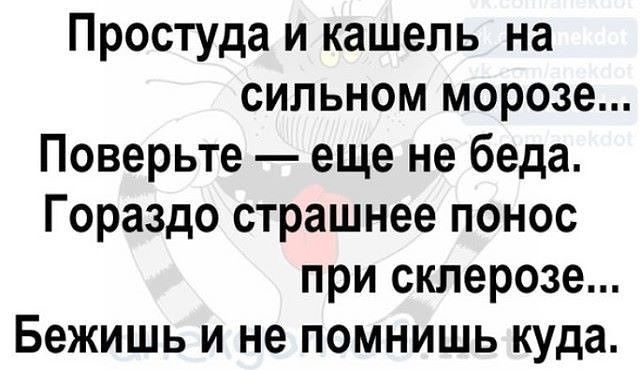 Простуда и кашель на сильном морозе Поверьте еще не беда Гораздо страшнее понос при склерозе Бежишь и не помнишь куда