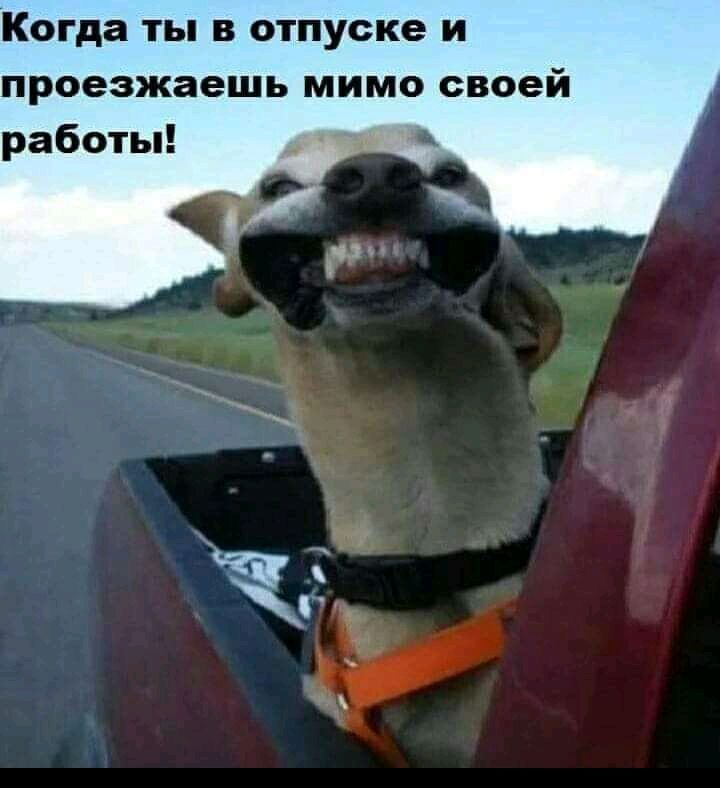 когда ТЫ В отпуске И проезжаешь МИМО своей