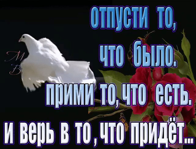 ііііИііііИ іі что ііыпіі ИИИИИ ШШШ ВШБ И Віііііі В Ш ііііі ИИИДВТ