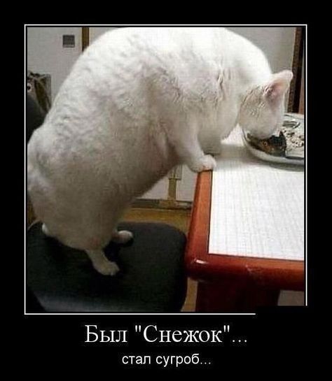 Был Снежок стап сугроб