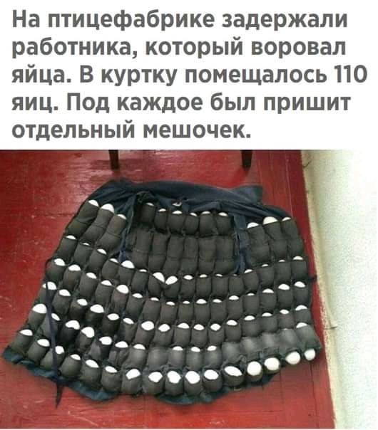 На птицефабрике задержали работника который воровал яйца В куртку помещалось 110 яиц Под каждое был пришит отдельный мешочек н _ і _ щ __ __ _ 4 О С 0