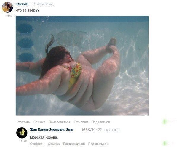 еюмк Что за зверь Жди Биши зиму п в чзм к Морская трона