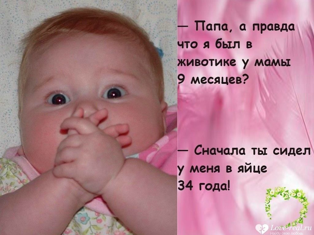 Папа а правда Сначала ть1 сидел у меня в яйце