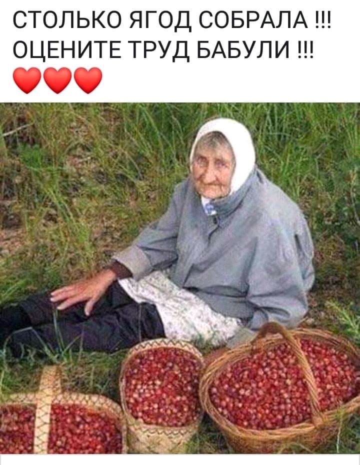 СТОЛЬКО ЯГОД СОБРАЛА ОЦЕНИТЕ ТРУД БАБУЛИ